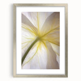Textured art depicting abstract florals in muted green and white, framed in silver, ideal for bedroom decor.