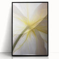 Large abstract wall art featuring close-up floral designs in vibrant colors on a black acrylic frame.