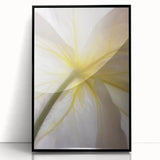 Large abstract wall art featuring close-up floral designs in vibrant colors on a black acrylic frame.