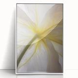 Art deco poster featuring close-up floral design in pastel shades, framed in white acrylic, suitable for nursery wall art.