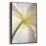 Black and white landscape art of florals on framed canvas, suitable for bedroom wall decor.