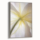 Framed canvas depicting a colorful landscape with floral elements in vintage poster style.