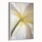Framed canvas featuring vintage poster art of colorful florals against a black background.