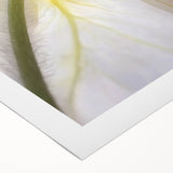 Art deco poster featuring close-up floral designs in soft pastel colors on a rolled canvas.