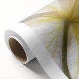 Art deco floral design in soft pastel colors on rolled canvas, ideal for nursery wall art.