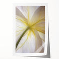 Extra large rolled print of close-up floral art in soft pastels, ideal for dining room or bathroom wall decor.