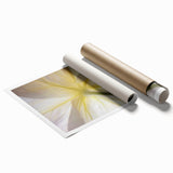 Extra large rolled print of close-up floral art in soft pastel shades.