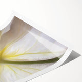 Extra large wall art featuring line art flowers in black on white background, ideal for large living room decor.