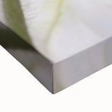 Black and white close-up floral photograph on large stretched canvas, ideal for bedroom wall art.