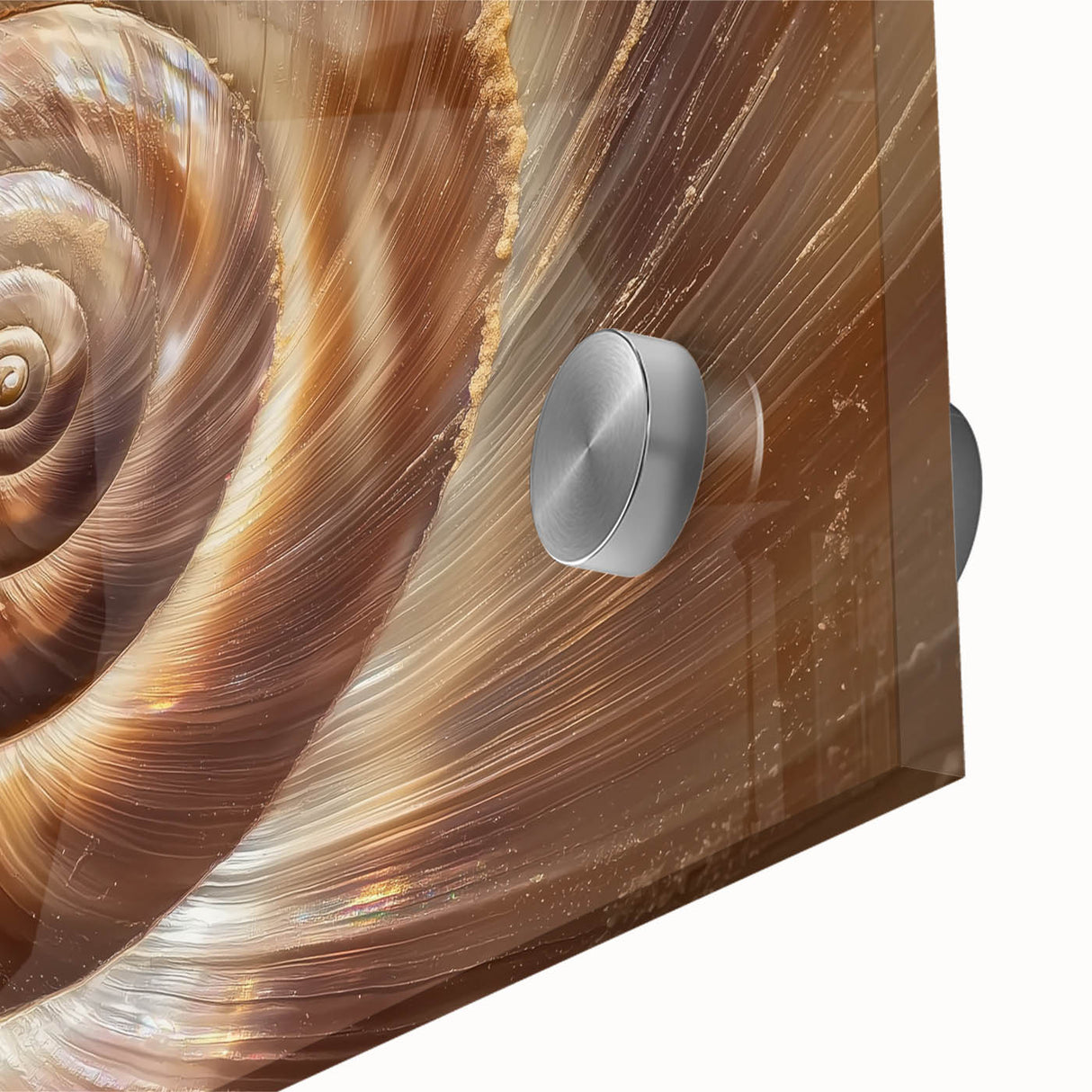 Large abstract wall art on acrylic glass featuring close-up nature elements in mid-century modernist style.