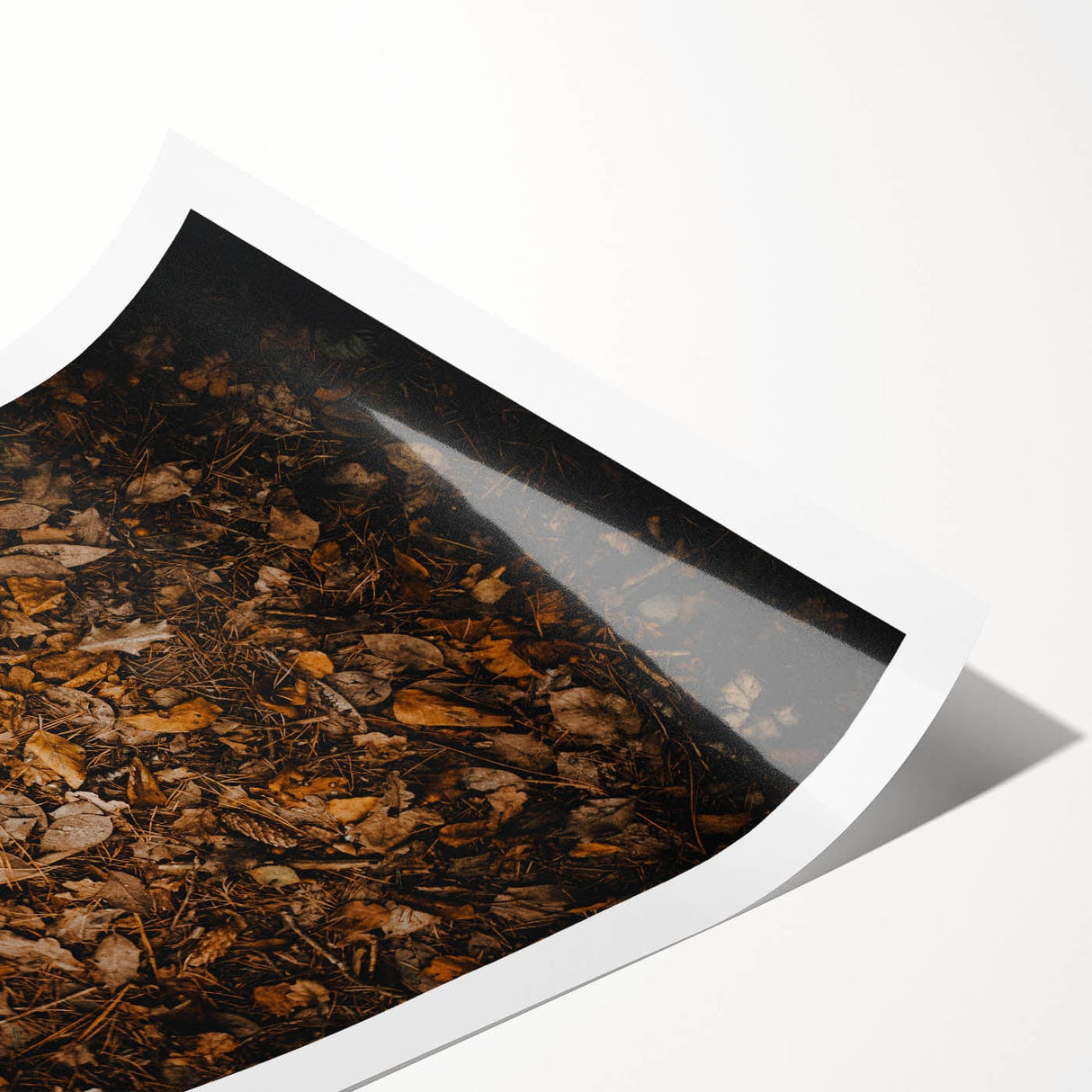 Extra large wall art featuring line art flowers in muted autumn colors on a rolled canvas.
