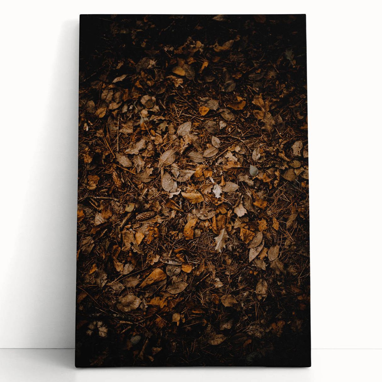 Black and white stretched canvas depicting a serene autumn forest scene, ideal for kitchen wall art or bedroom ambiance.
