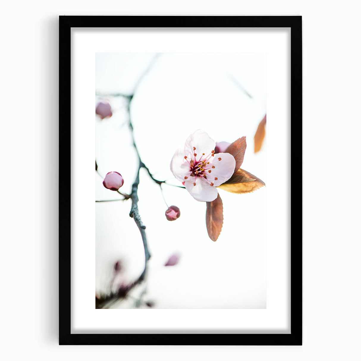 Extra large abstract art print featuring textured, colorful swirls on canvas, ideal for living room decor.