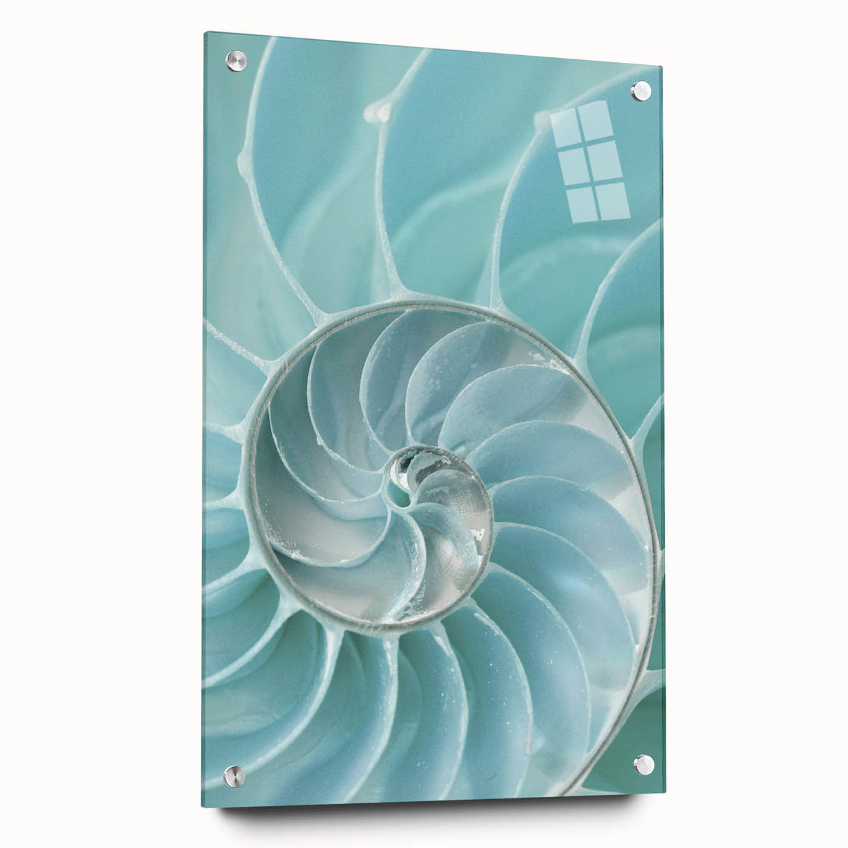 Ocean Elegance Canvas - Nautilus Shell Wall Art for Coastal Decor