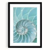 Ocean Elegance Canvas - Nautilus Shell Wall Art for Coastal Decor