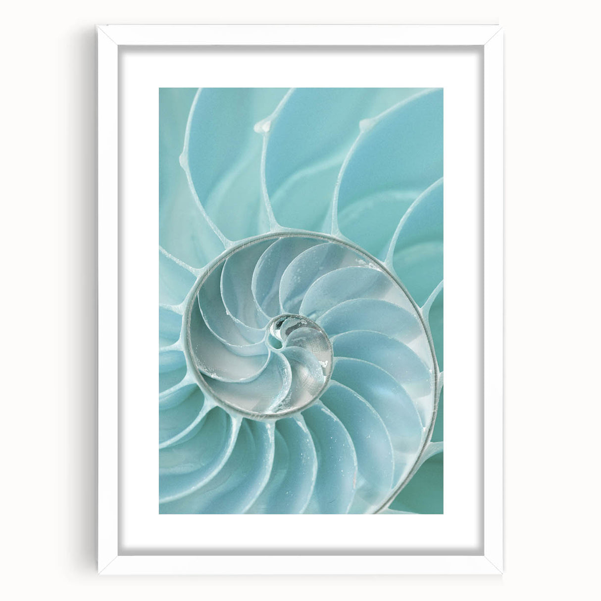 Ocean Elegance Canvas - Nautilus Shell Wall Art for Coastal Decor