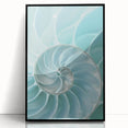 Ocean Elegance Canvas - Nautilus Shell Wall Art for Coastal Decor