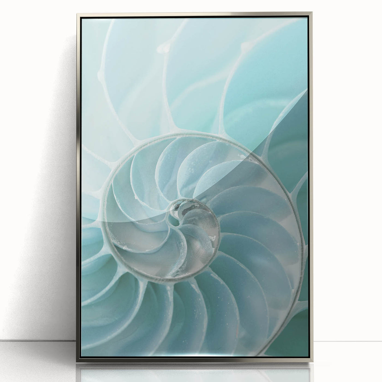 Ocean Elegance Canvas - Nautilus Shell Wall Art for Coastal Decor