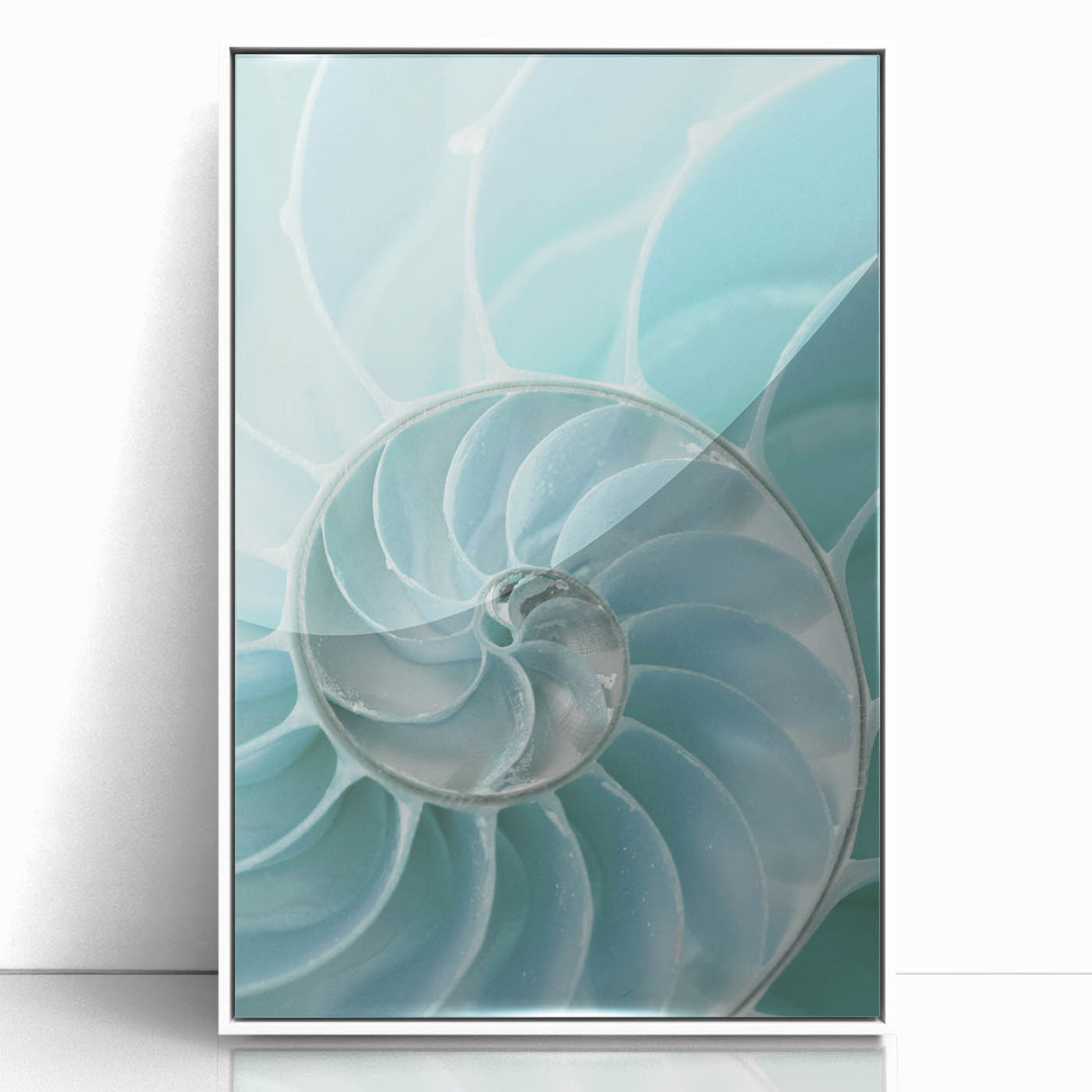 Ocean Elegance Canvas - Nautilus Shell Wall Art for Coastal Decor