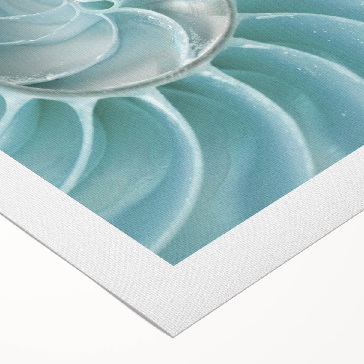 Ocean Elegance Canvas - Nautilus Shell Wall Art for Coastal Decor