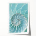 Ocean Elegance Canvas - Nautilus Shell Wall Art for Coastal Decor