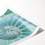 Ocean Elegance Canvas - Nautilus Shell Wall Art for Coastal Decor