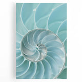 Ocean Elegance Canvas - Nautilus Shell Wall Art for Coastal Decor