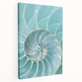 Ocean Elegance Canvas - Nautilus Shell Wall Art for Coastal Decor