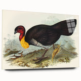 Famous Romantic Era Art: Brush Turkey Romanticism Art on Canvas