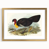 Famous Romantic Era Art: Brush Turkey Romanticism Art on Canvas