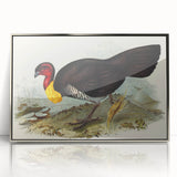 Famous Romantic Era Art: Brush Turkey Romanticism Art on Canvas