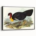 Famous Romantic Era Art: Brush Turkey Romanticism Art on Canvas