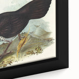 Famous Romantic Era Art: Brush Turkey Romanticism Art on Canvas