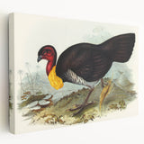 Famous Romantic Era Art: Brush Turkey Romanticism Art on Canvas