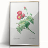 Neoclassical Art Prints: Purple Mallow by Pierre-Joseph Redouté
