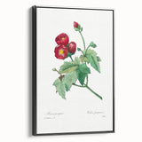 Neoclassical Art Prints: Purple Mallow by Pierre-Joseph Redouté