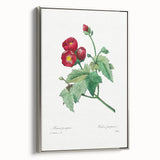 Neoclassical Art Prints: Purple Mallow by Pierre-Joseph Redouté