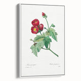 Neoclassical Art Prints: Purple Mallow by Pierre-Joseph Redouté