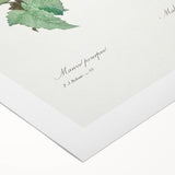 Neoclassical Art Prints: Purple Mallow by Pierre-Joseph Redouté