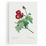 Neoclassical Art Prints: Purple Mallow by Pierre-Joseph Redouté