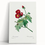 Neoclassical Art Prints: Purple Mallow by Pierre-Joseph Redouté