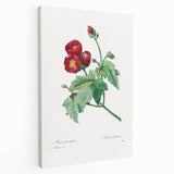 Neoclassical Art Prints: Purple Mallow by Pierre-Joseph Redouté