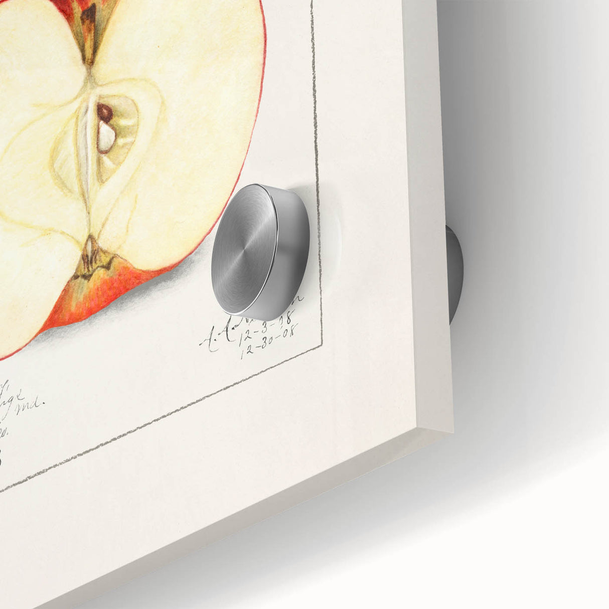 Large abstract wall art featuring an array of fruits in vibrant colors on acrylic glass, ideal for dining room art.