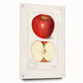 Acrylic glass wall art featuring assorted fruits in vibrant colors, suitable for dining room decor.