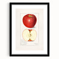 Extra large abstract art print of colorful, textured fruits on a black framed canvas, ideal for living room decor.