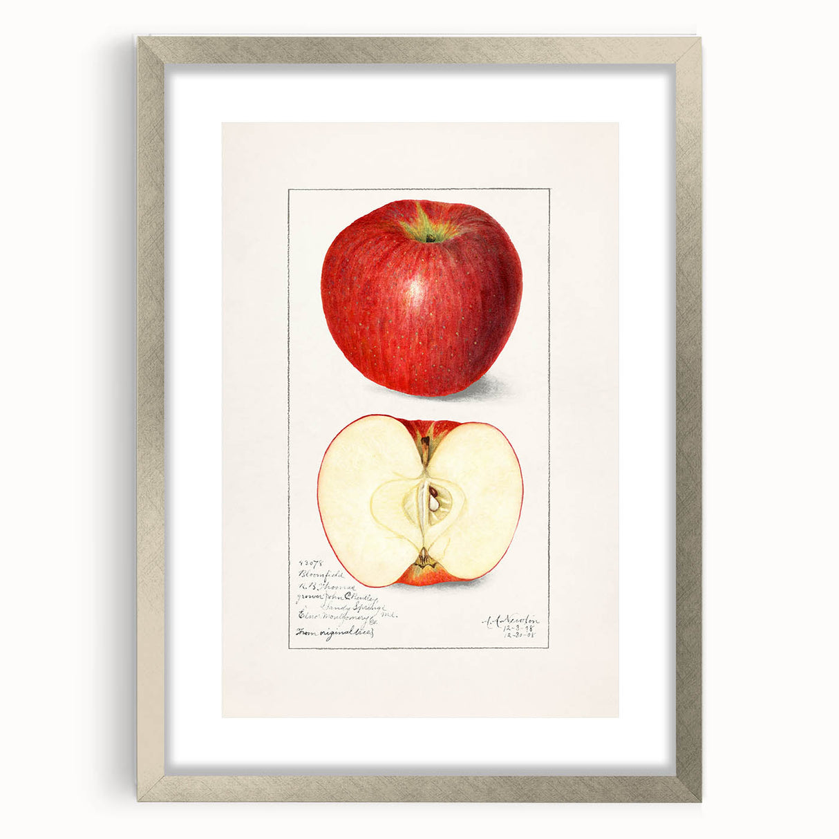 Textured art featuring an abstract array of vibrant fruits on a canvas, framed in silver, suitable for bedroom decor.