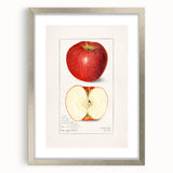 Textured art featuring an abstract array of vibrant fruits on a canvas, framed in silver, suitable for bedroom decor.