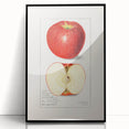 Large abstract wall art featuring assorted fruits in vivid colors on a black acrylic framed print.