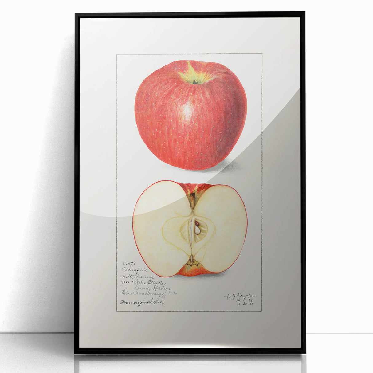 Large abstract wall art featuring assorted fruits in vivid colors on a black acrylic framed print.