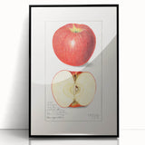 Large abstract wall art featuring assorted fruits in vivid colors on a black acrylic framed print.